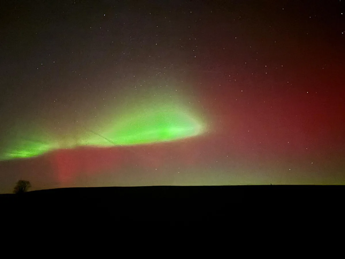 Man sieht grüne, violette und pinke Polarlichter am dunklen Nachthimmel.